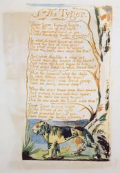 De tijger, uit Songs of Innocence